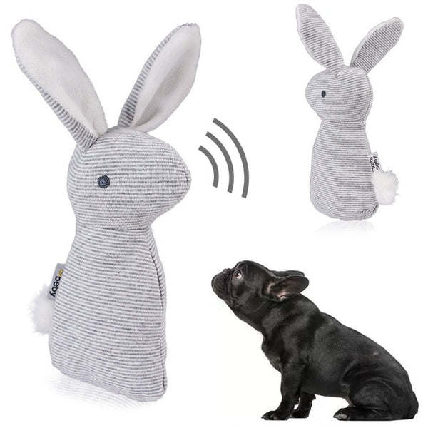 2019 New Pet Squeaky Funny Dogs Animal Shape Toys Gift Set Large Rabbit Honking for Dogs Chew Bite Squeaker Dog Toys