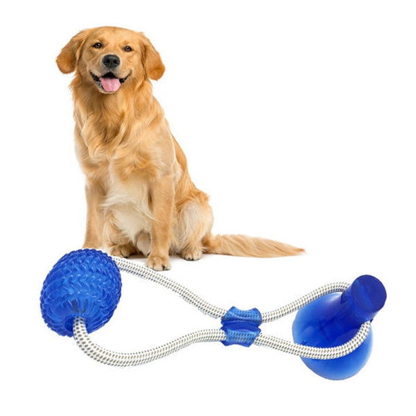 Multifunctional Pet Toys with Suction Cup Dog Push Toy with TPR Ball Pet Tooth Cleaning Chewing Rubber Dog Toys for Small Dogs