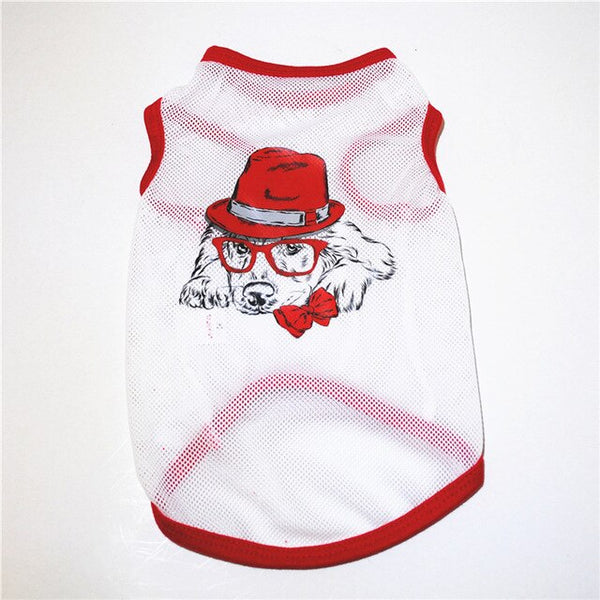 Spring Pet Clothes for Small Dog Clothes for Pet Dog Coats Jacket Warm Dogs Clothes Costume for Chihuahua Pajamas Cotton