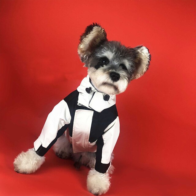 Dog Clothes for Small Dogs Winter Coat for Small Dogs French Bulldog Chihuahua Detachable Jacket for Pet PC1163