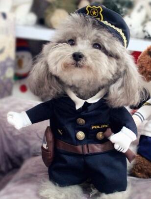 Funny Dog Clothes Cool Pet Dog Costume Suit Puppy Clothes Coat Clothing For Dog Costume Outfit Nurse Pet Suit Ropa Perro 27S2