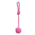 products/product-image-973937349.jpg